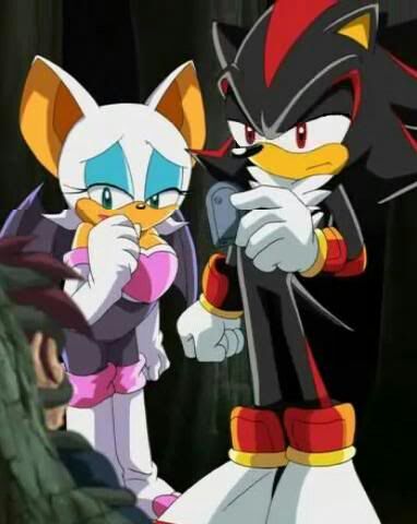 Shadow and rouge | Wiki | Sonic the Hedgehog! Amino