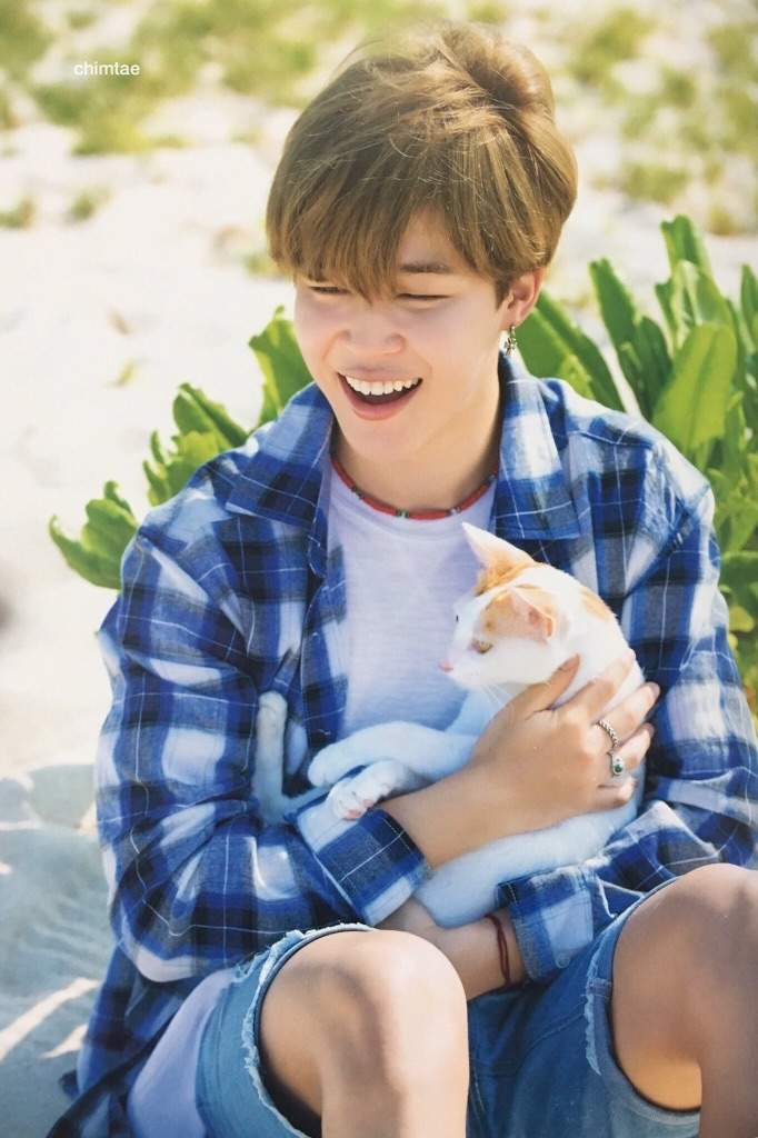 Jimin Summer Package 17 Park Jimin Amino