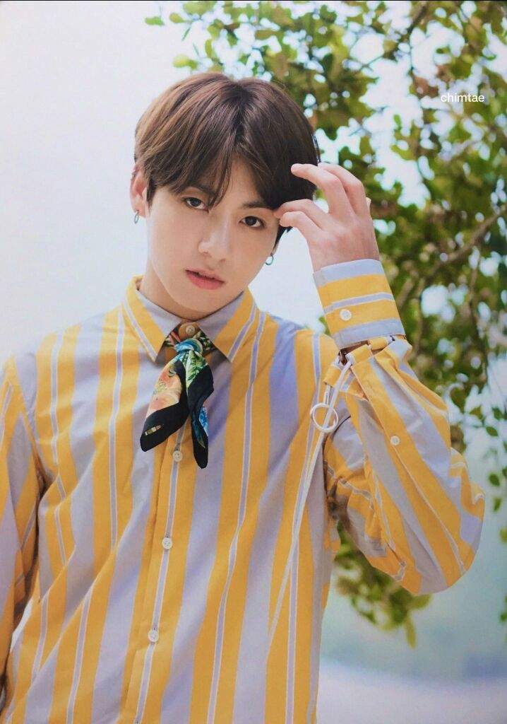 Jungkook Summer Package 17 Army S Amino