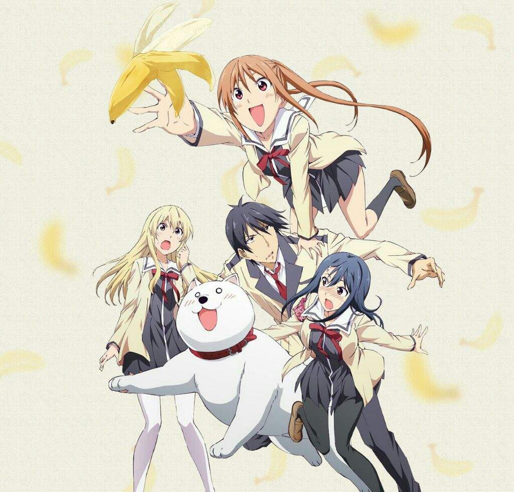 AHO-GIRL/Ahogaru: Clueless Girl アホガール | Wiki | Anime Amino