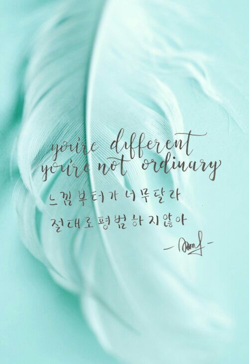 lyrics love calligraphy Lyrics  MONBEBE X Calligraphy Amino  Monsta