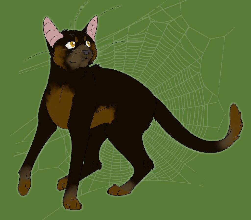 spiderleg warrior cats