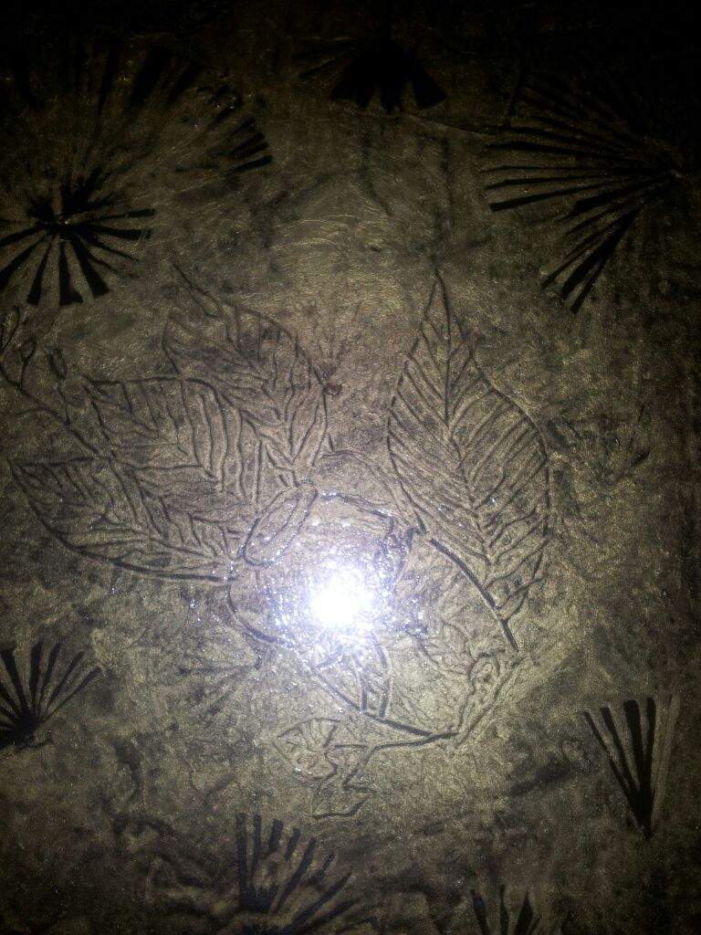 الرسم على الأرض بمادة الابوكسي بدلا من السيراميك والبورسلان 