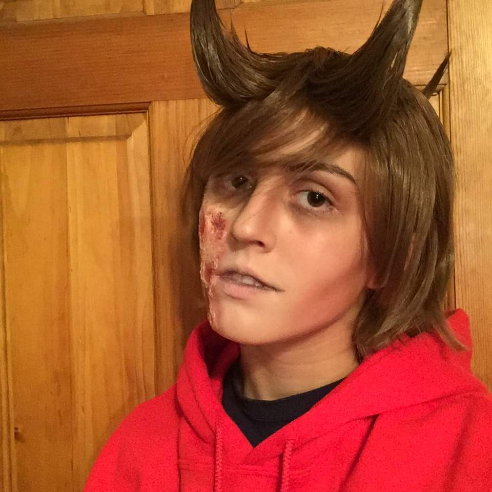 Tord Eddsworld Real Life