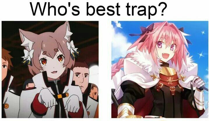 Who is the best Trap? | Anime Amino