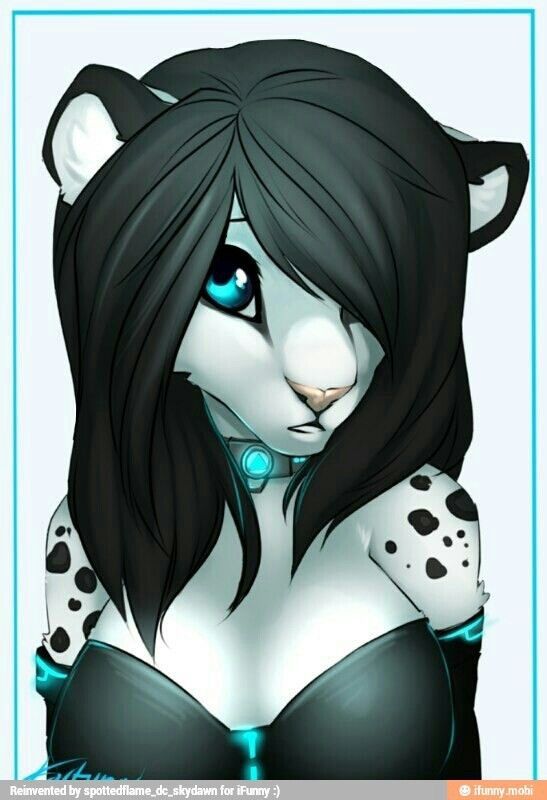 SEXY FURRY ️😘💋(emo furry) | LGBT+ Furries! Amino