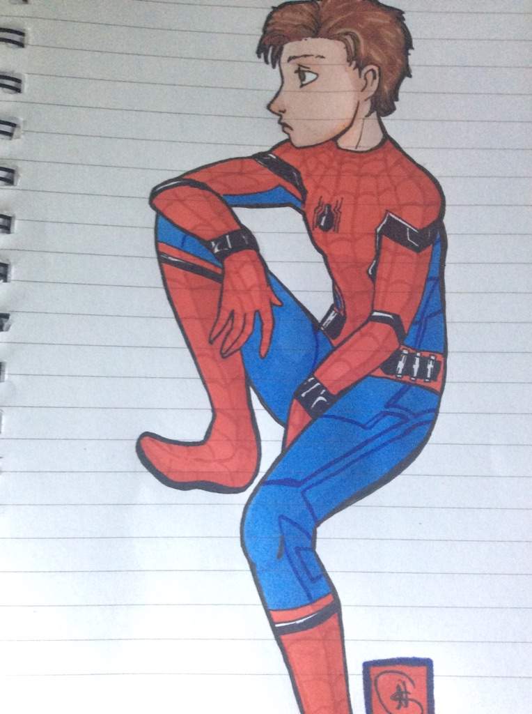 Spiderman (Tom Holland) Marvel Amino