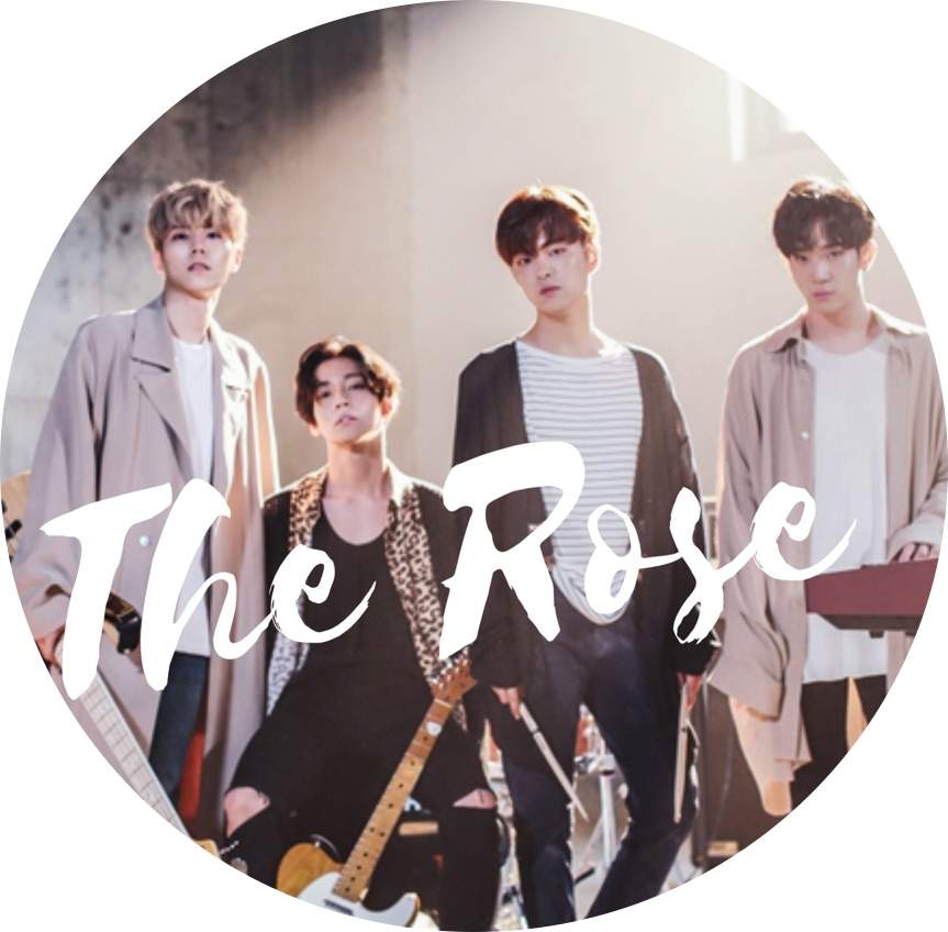 The rose корейская группа участники фото с именами