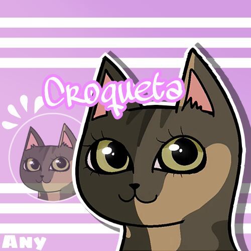 Croqueta Wiki 🌸•Yapura Meri Amino•🌸 Amino