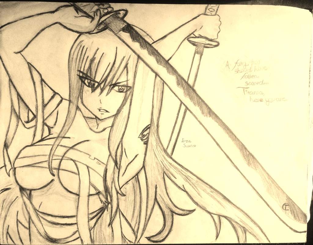 Fairy Tail Erza Scarlet Anime Amino