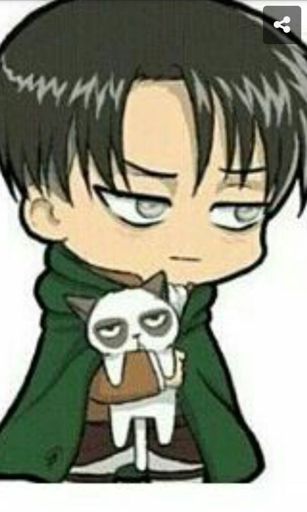 Little levi! | Wiki | Attack On Titan Amino