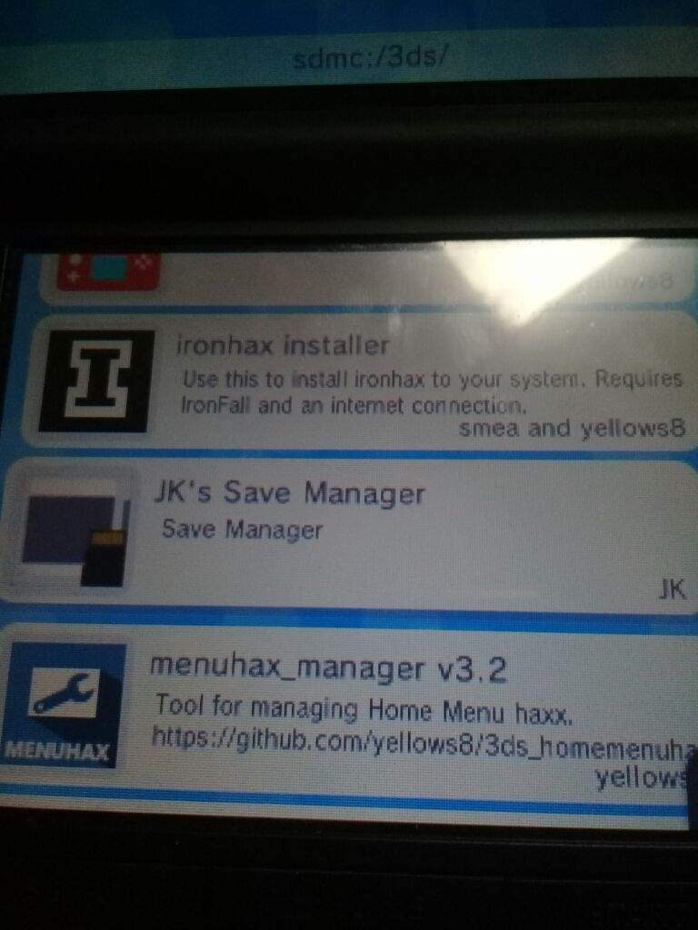 main save manager homebrew