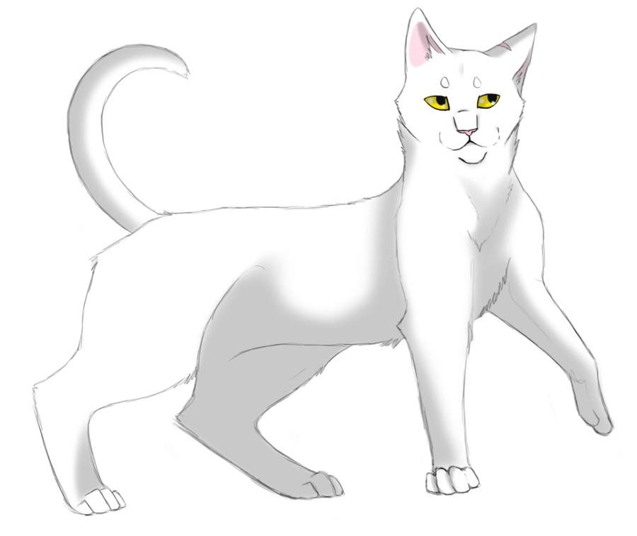 Top 10 Warrior cats | Warriors Amino