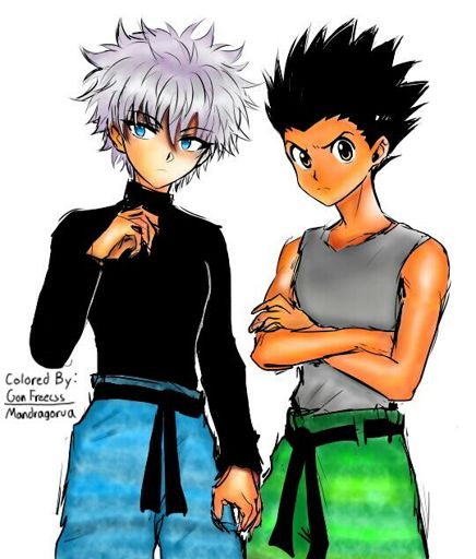 Gon And Killua Chimera Ant Arc: Colored! | My Fun House! Amino