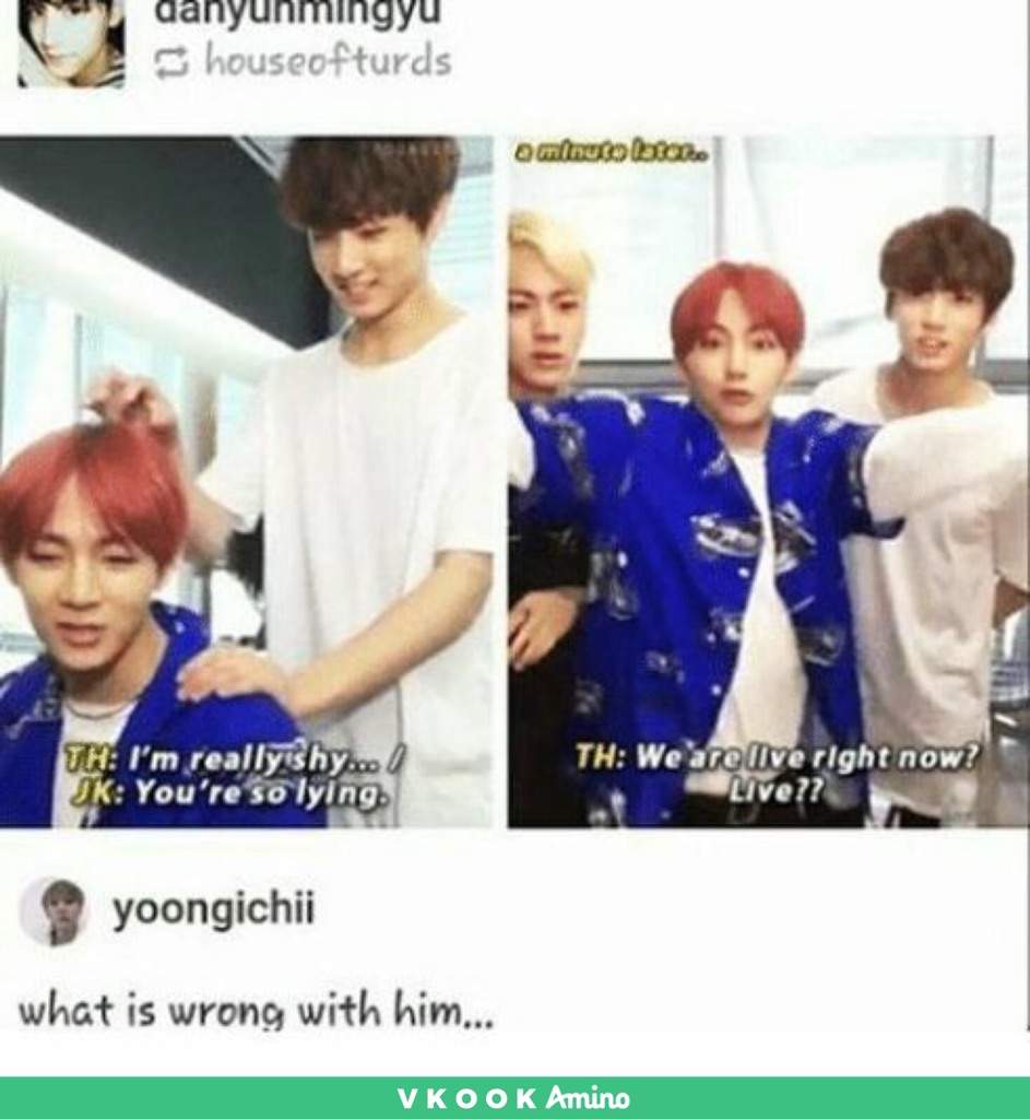 Taekook meme 💗 part 2 | V K O O K Amino