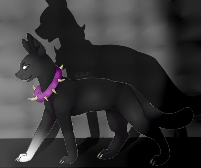 Scourge's Backstory | Warriors Amino