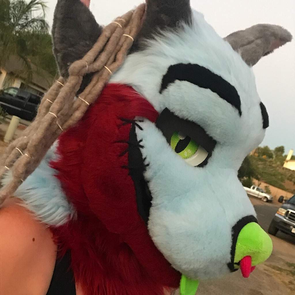 Fursuit Dreads 🦇 Furry Amino