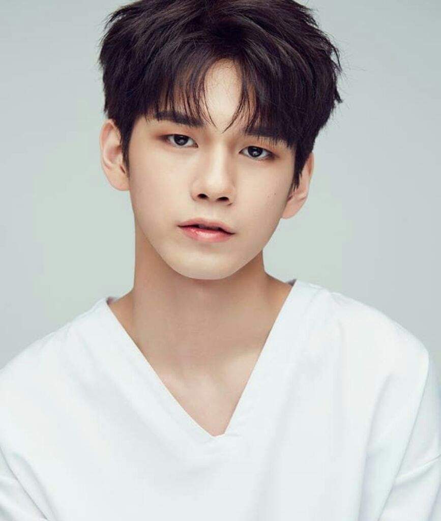 Ong Seong Wu | Wiki | • Wanna One • Amino Amino