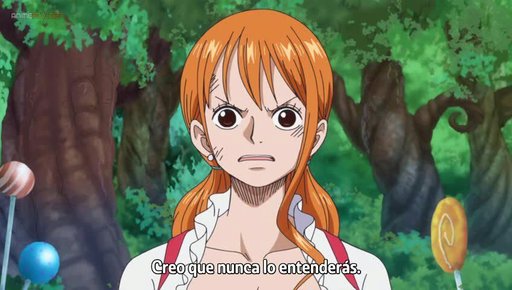 One Piece Episodio 803 One Piece Amino