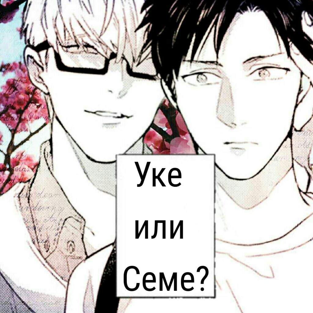 Seme reader. Уке и семе. Яой семе. Семе и Уке знаки зодиака.