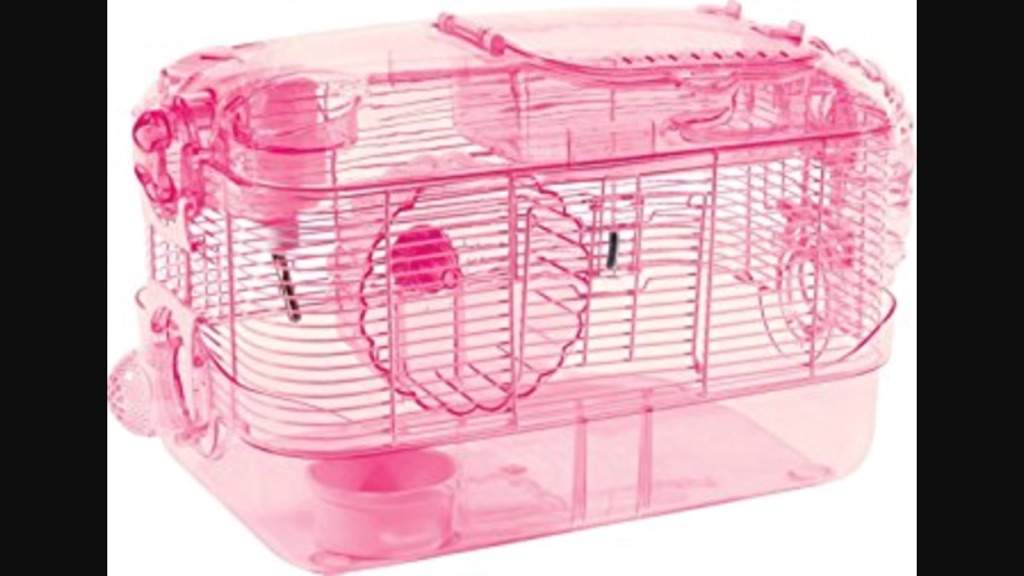 worst-hamster-cages-pt-2-hamsters-amino