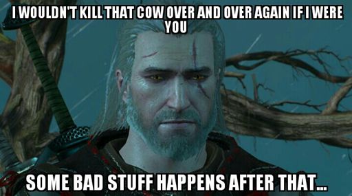 Some The Witcher 3 MEMES I made :D... | Memes Amino