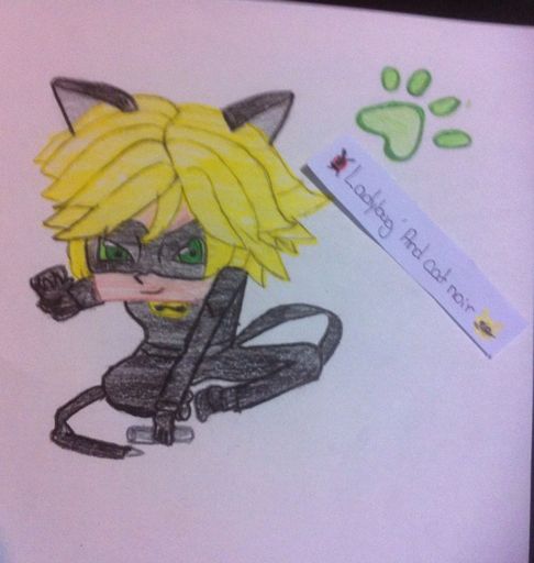 Dibujo de cat noir | Miraculous Amino