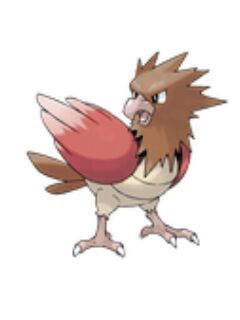 Jack | Wiki | Pokémon[RPG]Liberty Amino