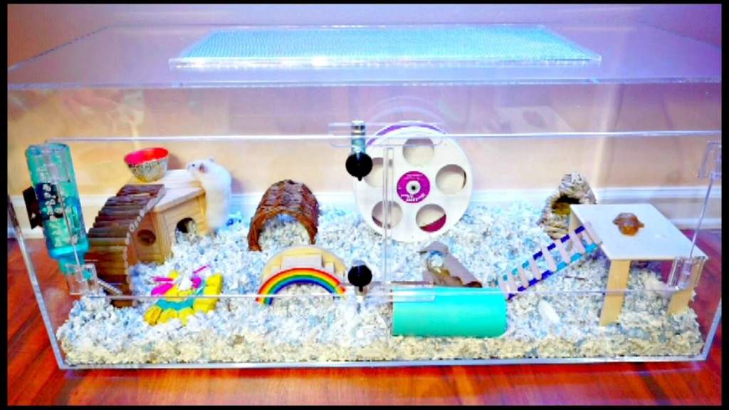 How Much Do Dwarf Hamsters Cost At Pets At Home