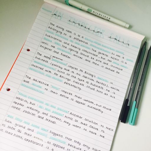 Study Notes- English #2 | Studying Amino Amino