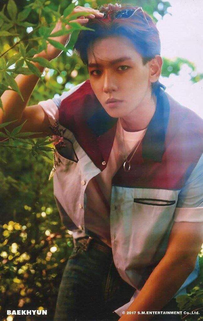 baekhyun in kokobop🌴 | EXO (엑소) Amino