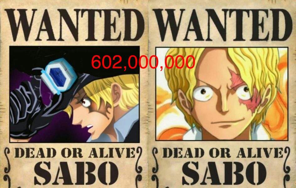 Sabo S Bounty Too Low One Piece Amino