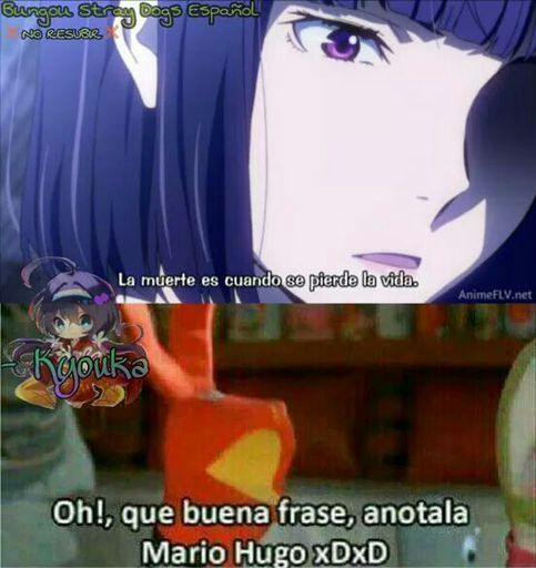 El meme de Bsd | Wiki | •Bungou Stray Dogs• Amino