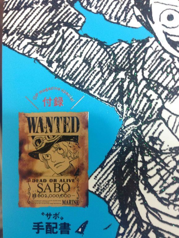 Sabo S Bounty Revealed One Piece Amino