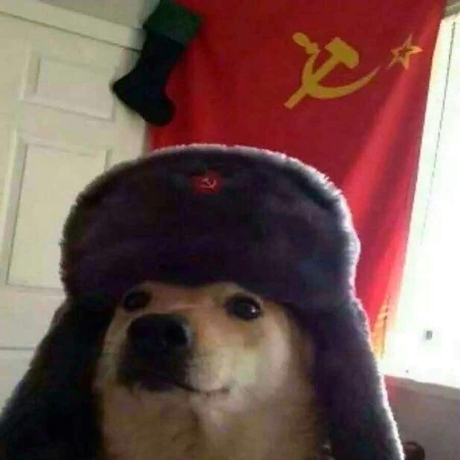 Russian Doge Roblox Amino - russian doge roblox
