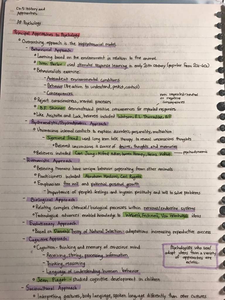 AP Psychology Notes Studying Amino Amino