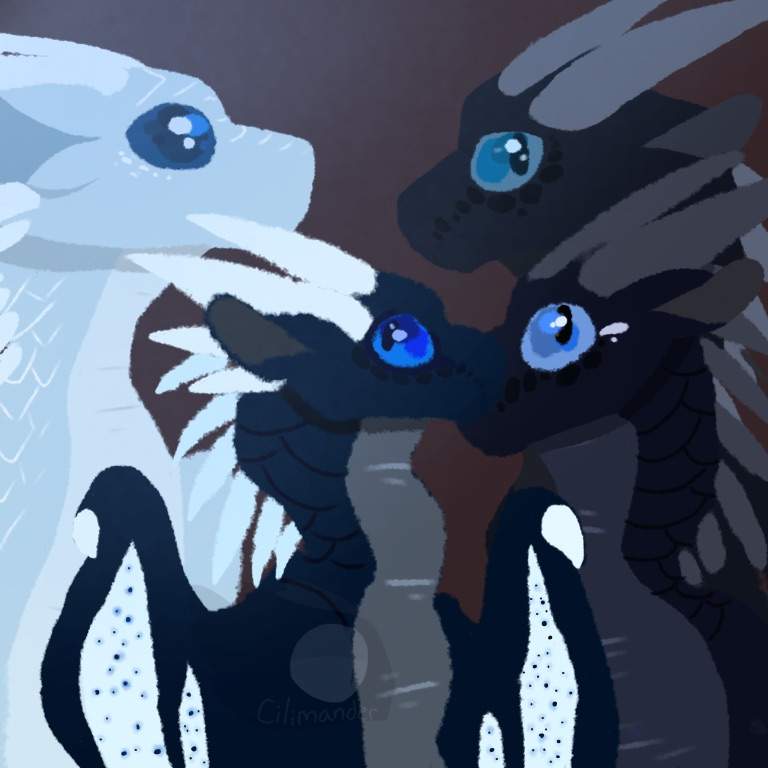 Whiteout's painting | Wings Of Fire Amino