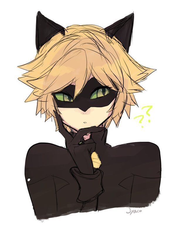 Why Are All My Friends Saying I Can Be A Girl Chat Noir Like
