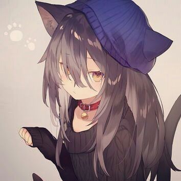 Kuro Neko Yuki | Wiki | Neko Café -고양이 카페 Amino