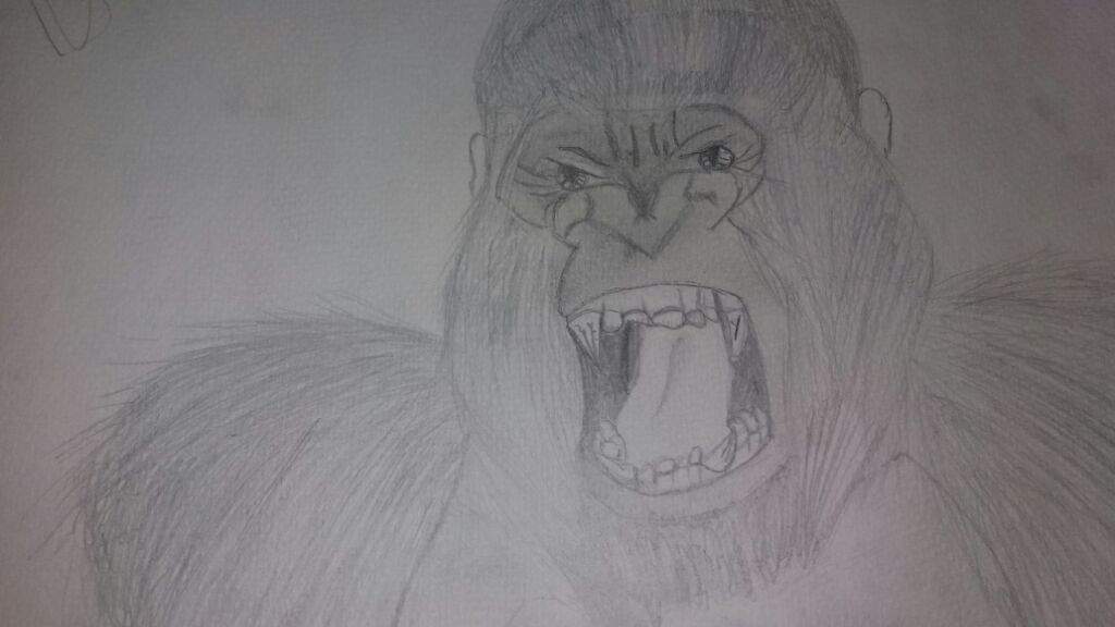 King Kong Dibujo De 15 Dibujarte Amino