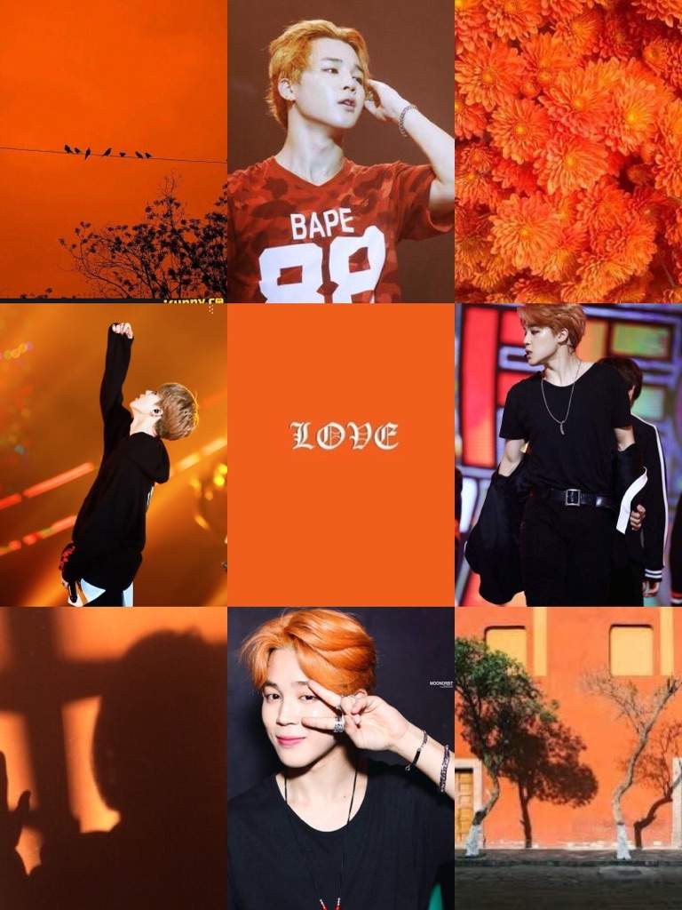 BTS Orange Aesthetics | ARMY's Amino