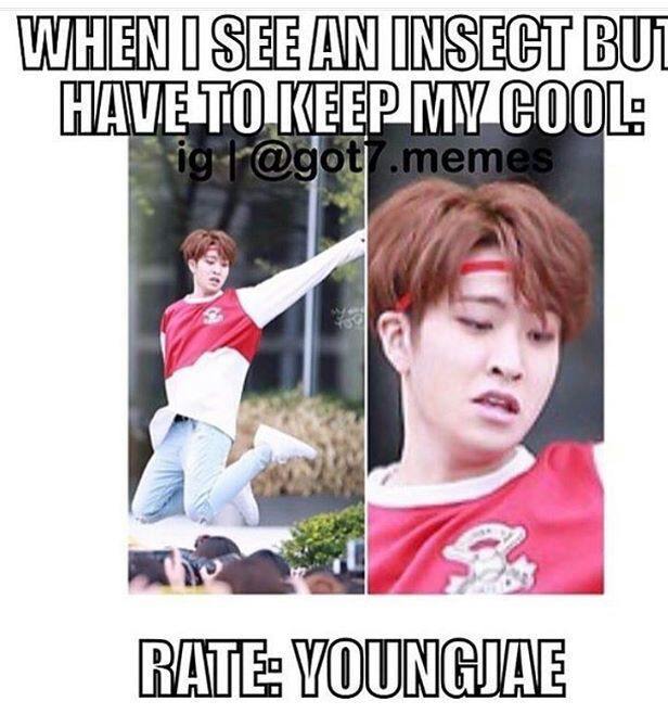 Youngjae funny memes collection.... | GOT7 Amino