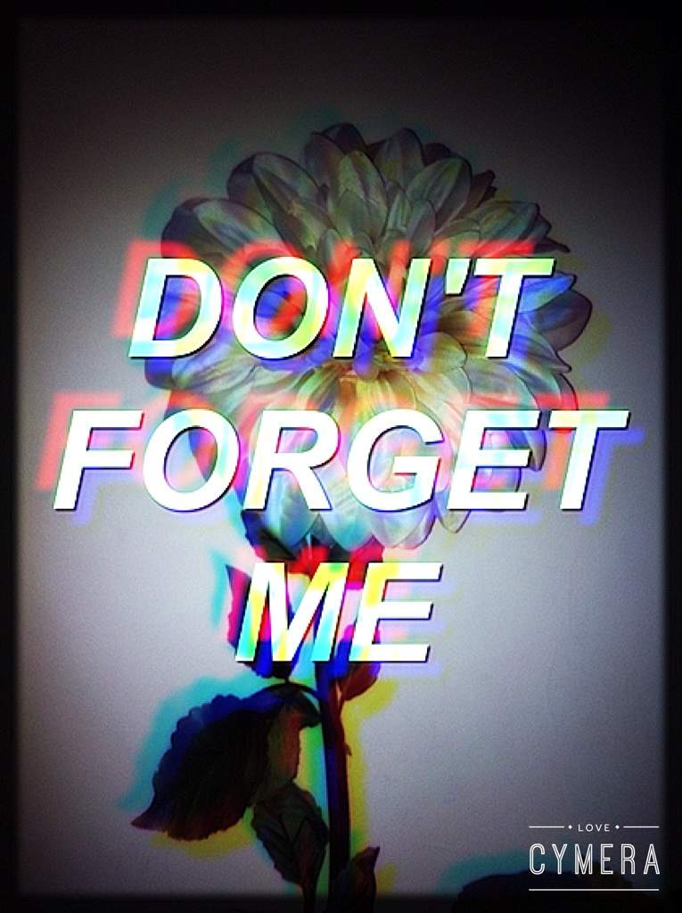 _•don't forget me•_ Exploration Aesthetic