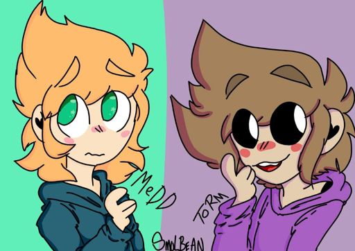 Torm and Medd | 🌎Eddsworld🌎 Amino