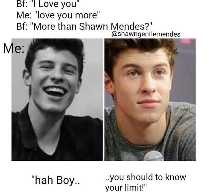 Shawn mendes memes | Mendes Army. Amino