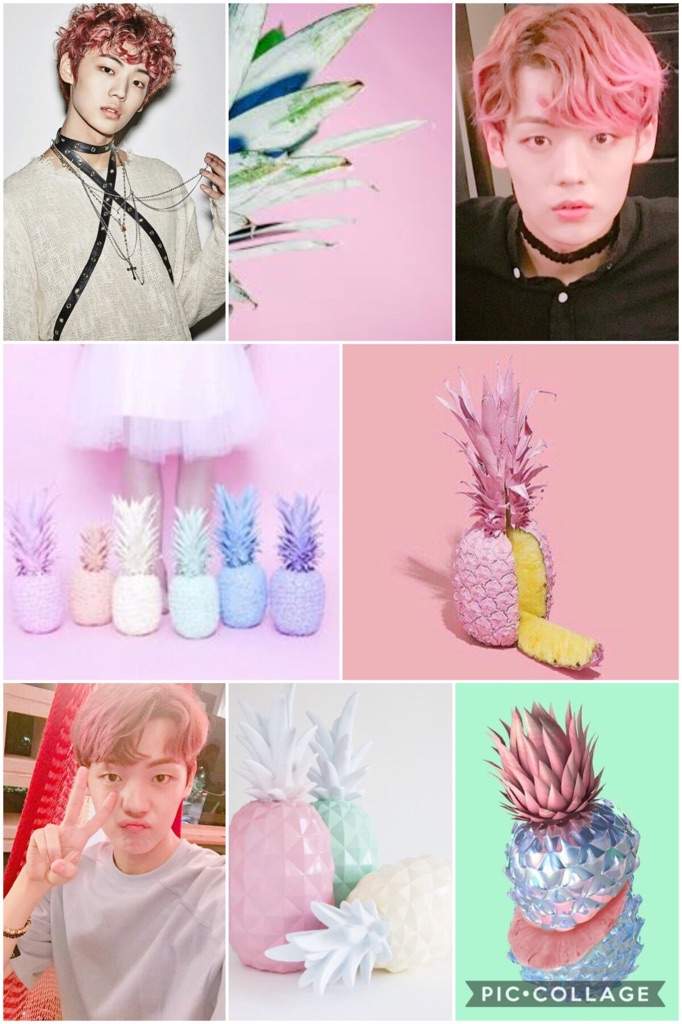 ACE Aesthetics pt. 3 | A.C.E (에이스) Amino