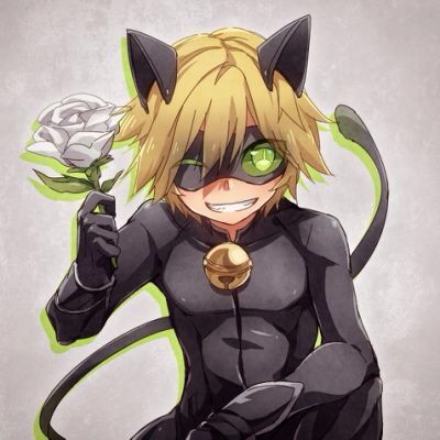 Cat Noir | Wiki | Miraculous Amino