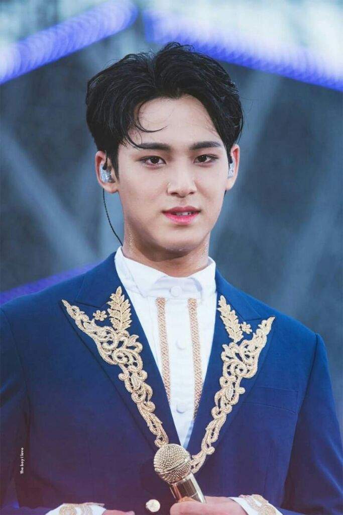 Seventeen Mingyu at Diamond Edge Concert | Carat 캐럿 Amino