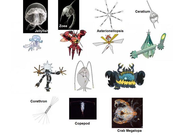Ultra Beasts And Their Inspirations Yin Yang League Amino