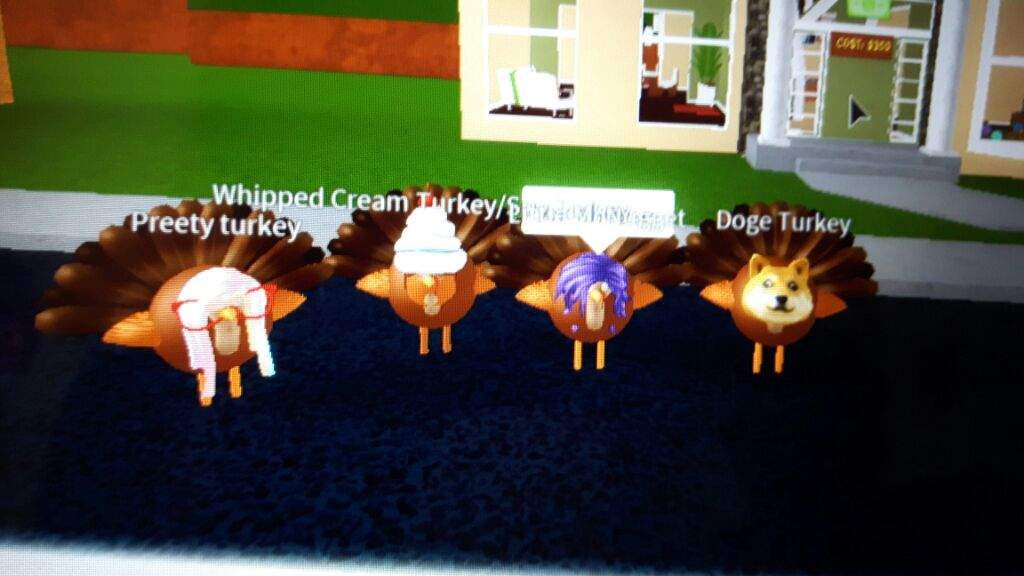 Thank You Roblox Amino - uni doge roblox